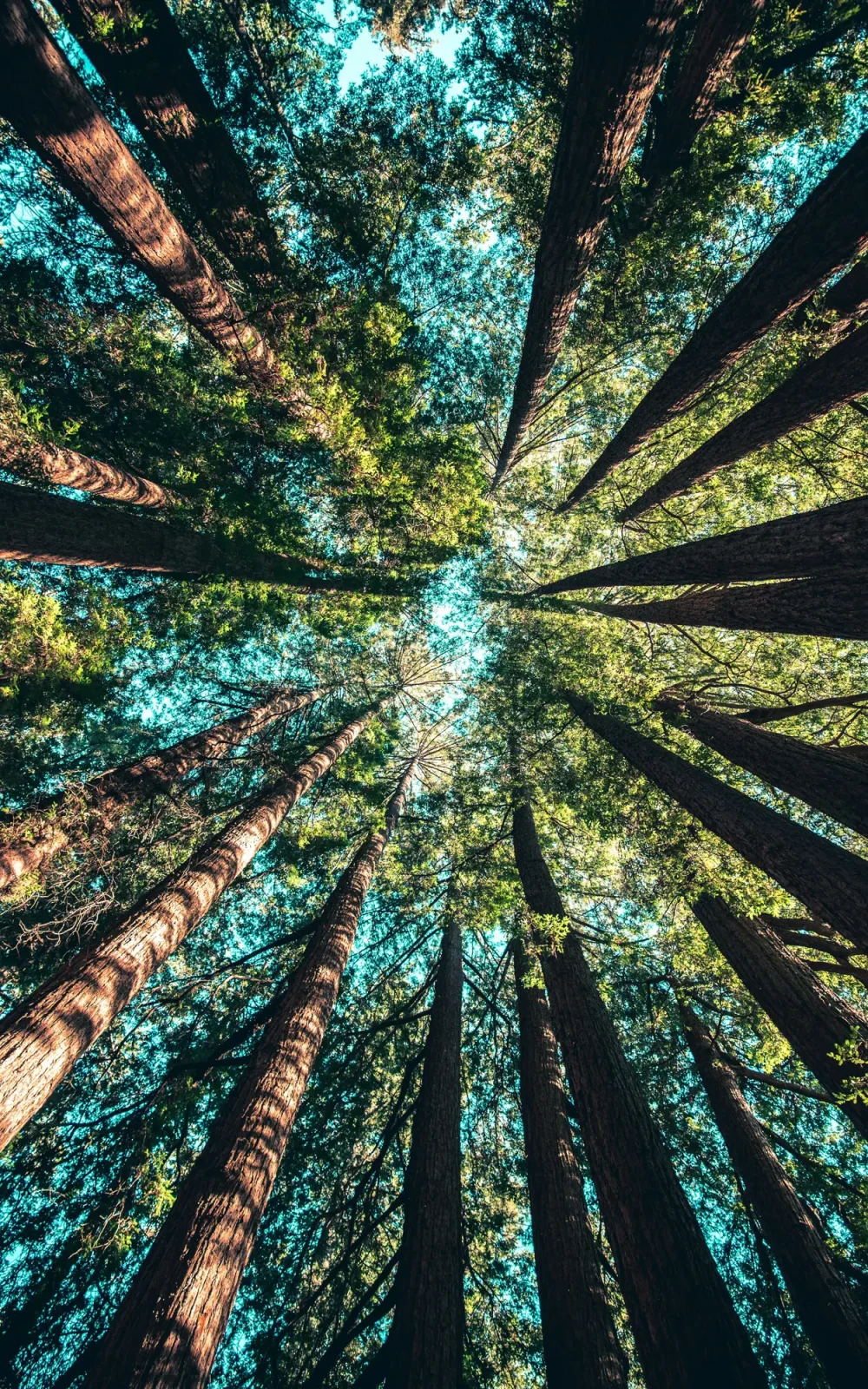 casey-horner-4rDCa5hBlCs-unsplash
